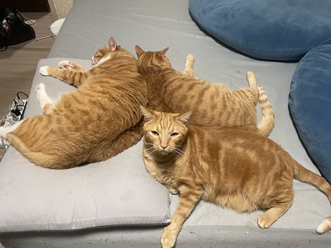 KakaoTalk_20250728_212208855_08