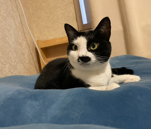 KakaoTalk_20250720_143210793_04