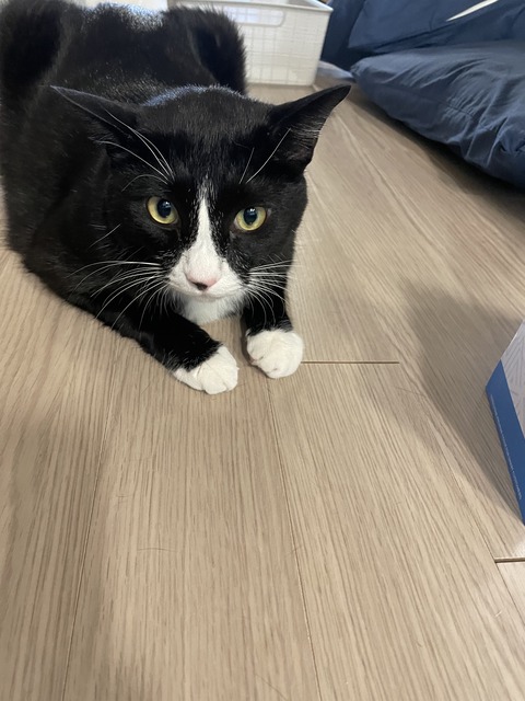 KakaoTalk_20231003_153451038_01