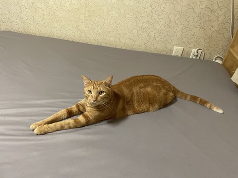 KakaoTalk_20240923_095357412_15