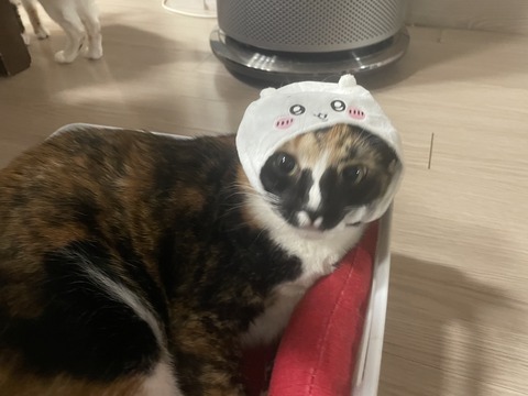 KakaoTalk_20240122_121047494_04