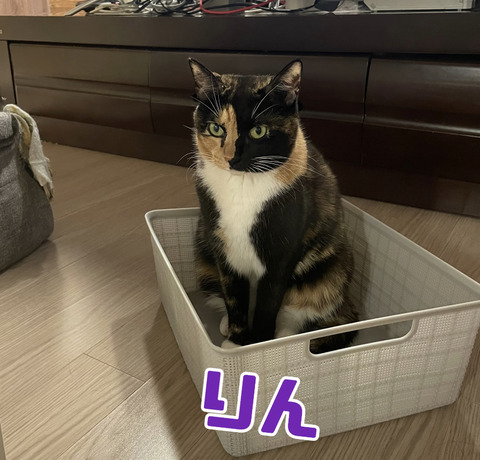 KakaoTalk_20231223_111220951