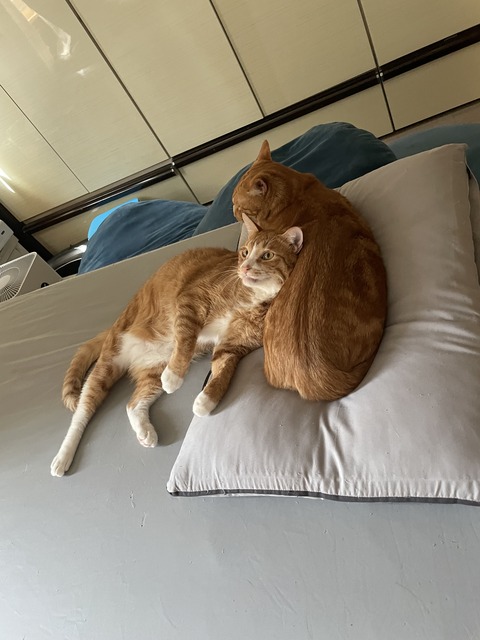 KakaoTalk_20230428_110858271_03