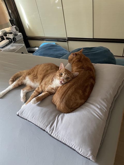 KakaoTalk_20230428_110858271_02