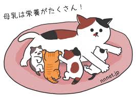 images (14)