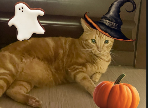 KakaoTalk_20250928_182521196_02