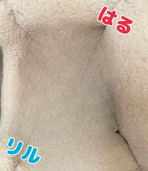 KakaoTalk_20240104_115426701