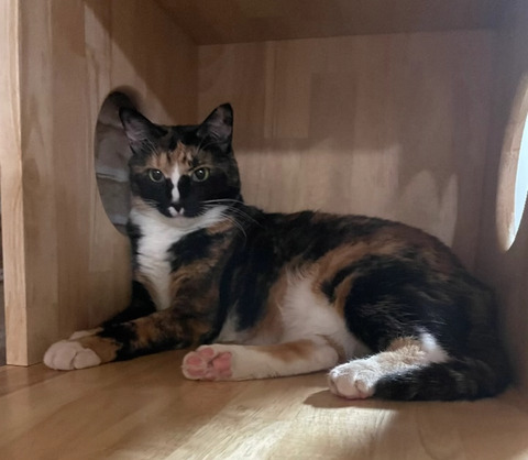 KakaoTalk_20250907_173349655