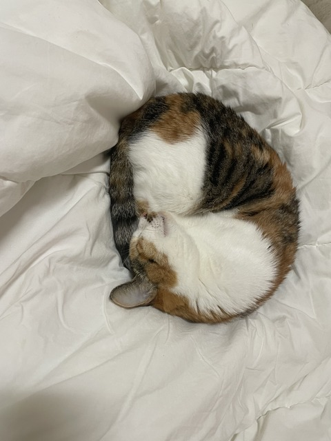 KakaoTalk_20240114_222135455