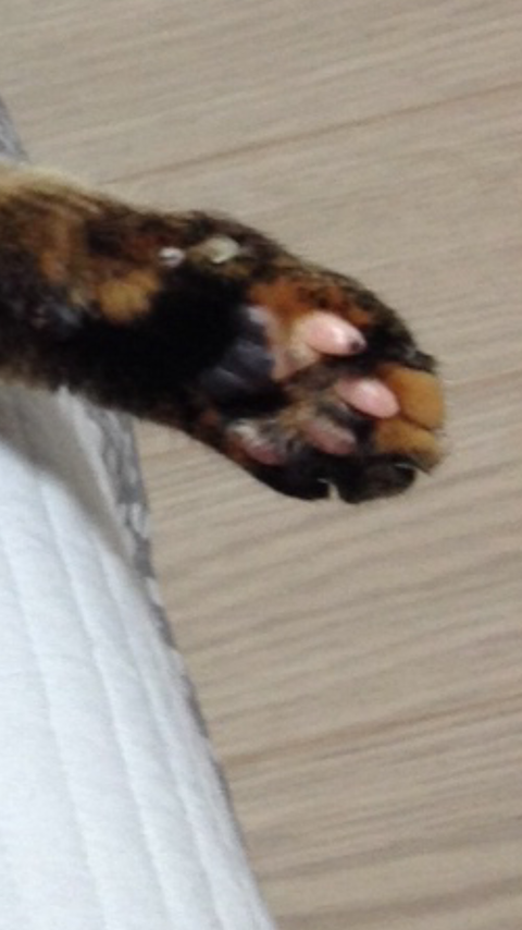 KakaoTalk_20210707_100549904_01