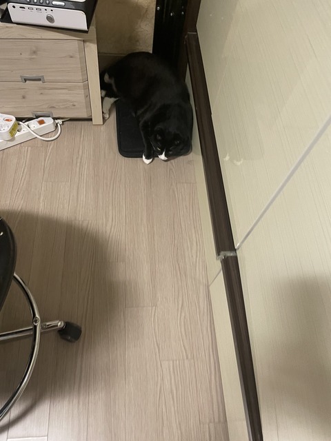 KakaoTalk_20250729_194729146_09