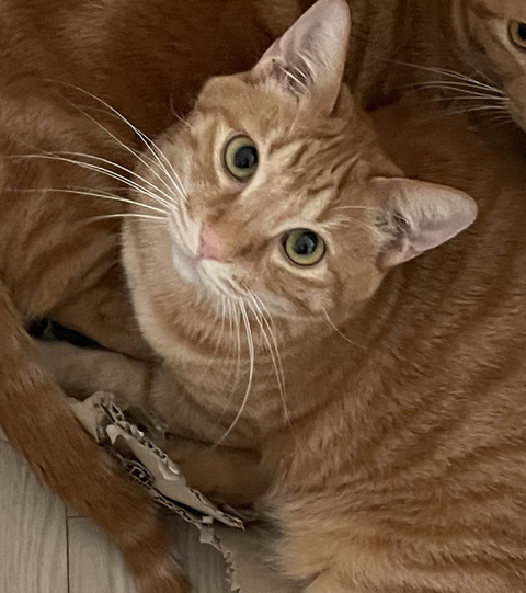 KakaoTalk_20231216_145859297