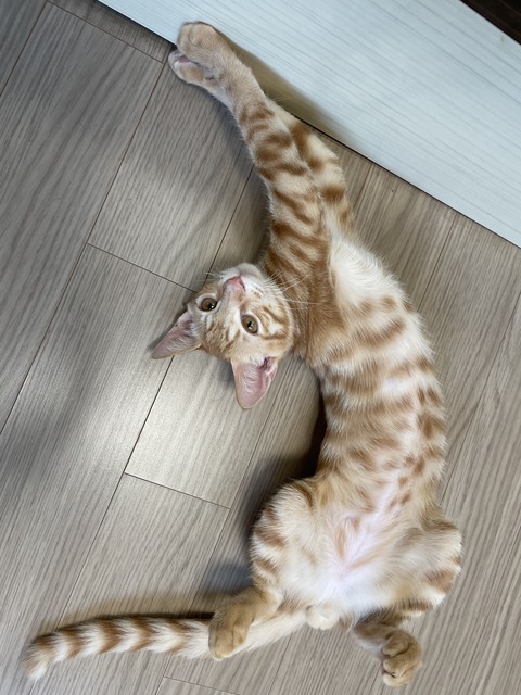 KakaoTalk_20201122_154707764