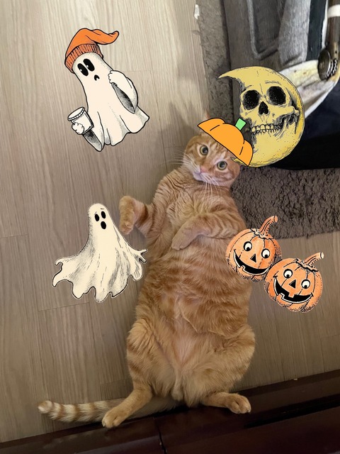 KakaoTalk_20250928_184023359