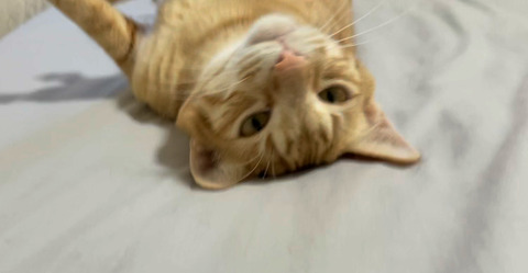 KakaoTalk_20220224_100330827_04