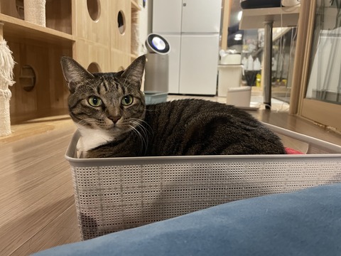 KakaoTalk_20240114_213047051_01