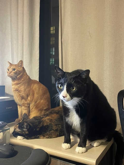 KakaoTalk_20250623_190332588