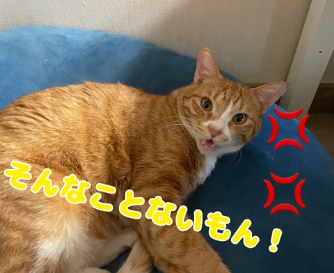 KakaoTalk_20240127_125802020