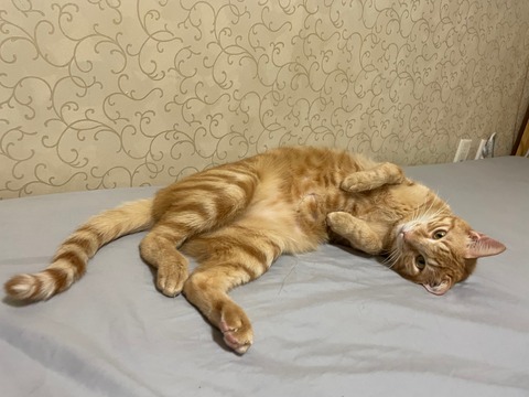 KakaoTalk_20220228_114455714_07