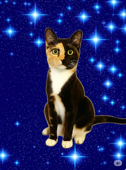 KakaoTalk_20250627_215336821