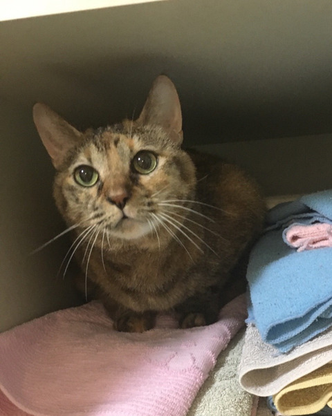 KakaoTalk_20250907_213016844