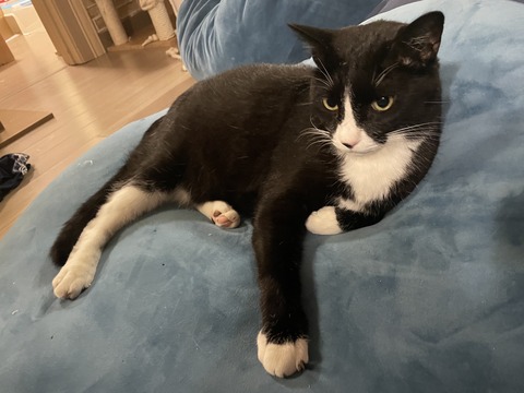 KakaoTalk_20240822_115320283_05