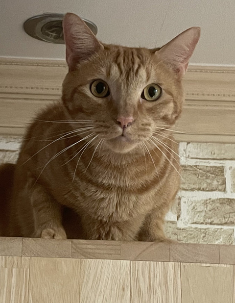 KakaoTalk_20240329_171358152