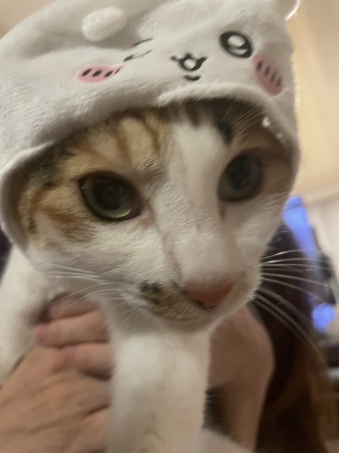 KakaoTalk_20240122_121047494_23