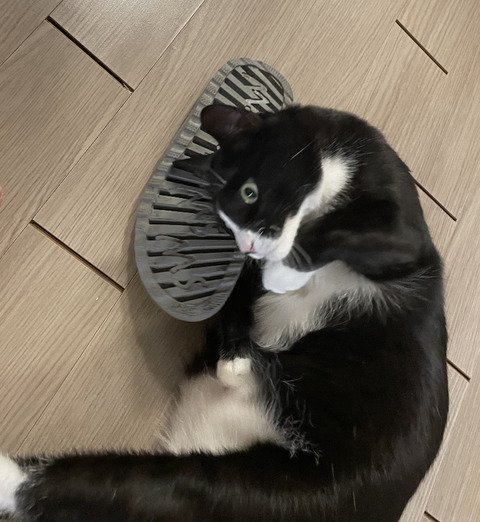 KakaoTalk_20220228_115224195