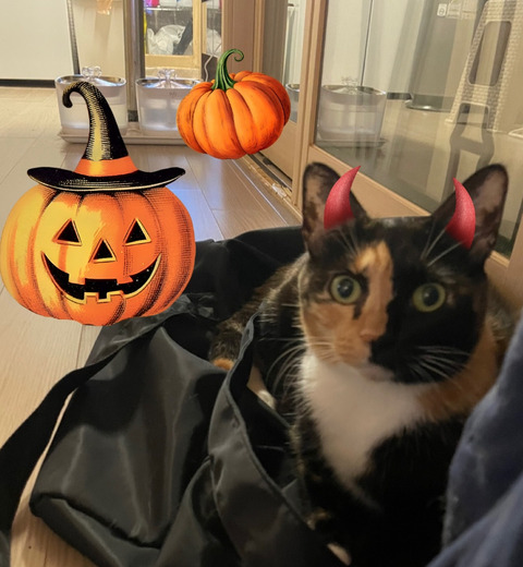 KakaoTalk_20250928_182521196