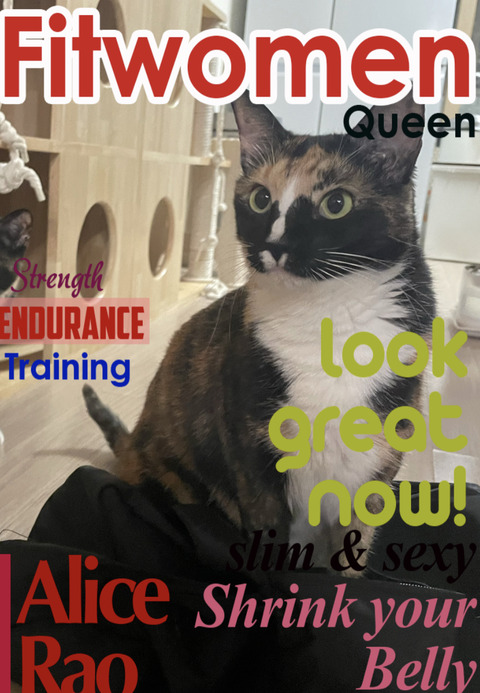 KakaoTalk_20240816_112351163_05