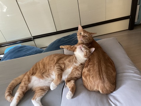 KakaoTalk_20230428_110858271_04