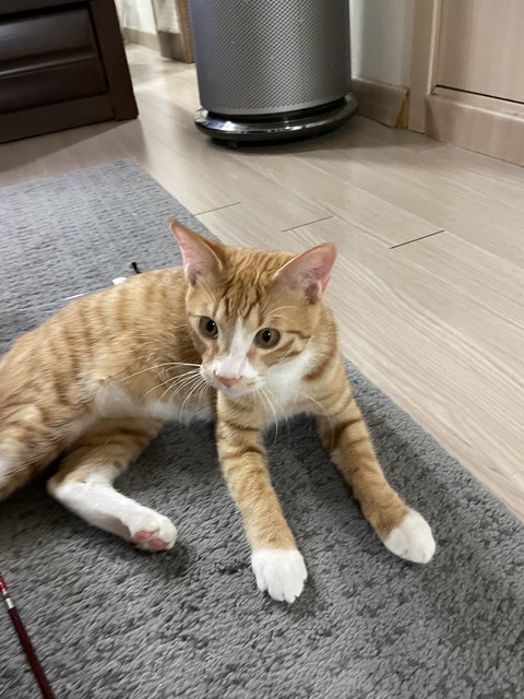 KakaoTalk_20210220_095346240