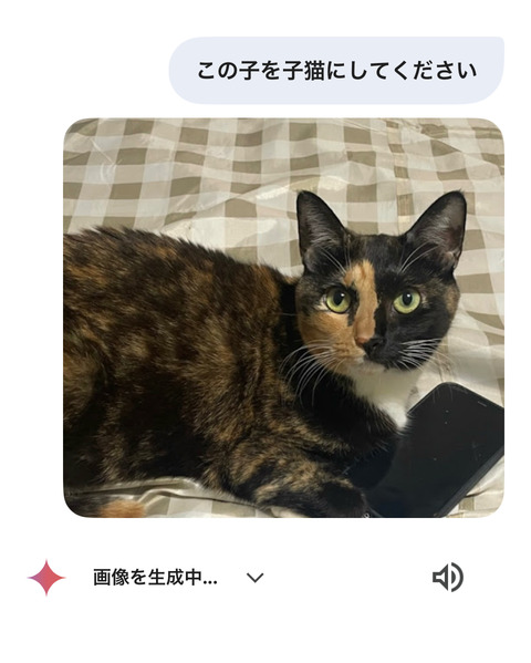 KakaoTalk_20250617_193720206_02