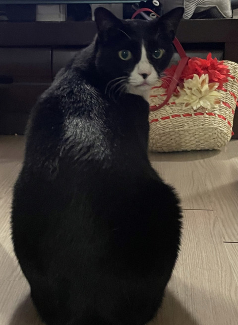 KakaoTalk_20240624_095254076