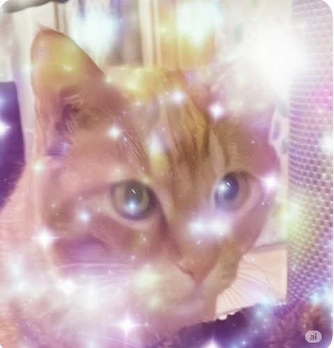 KakaoTalk_20250627_215336821_04