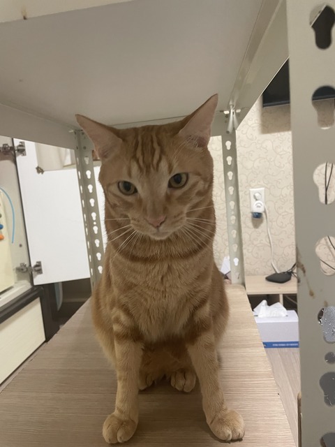 KakaoTalk_20231130_204042285_02