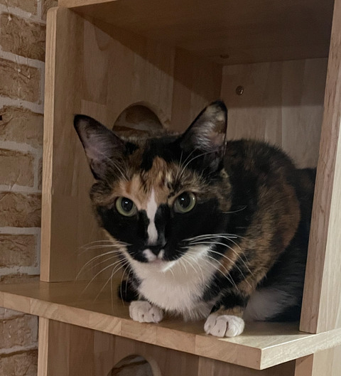 KakaoTalk_20250907_124153381