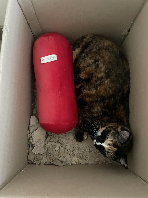 KakaoTalk_20240122_111222517_05