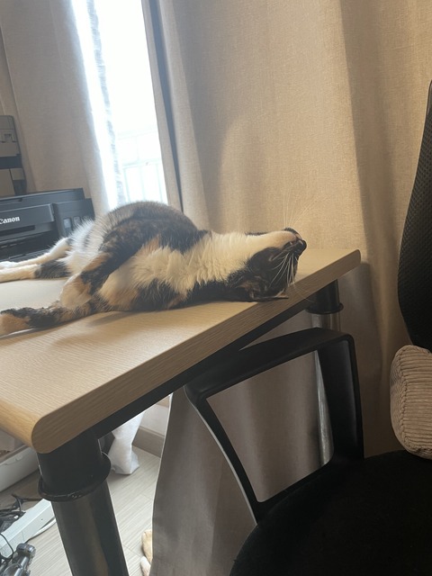 KakaoTalk_20240621_095243911_05