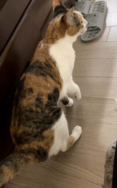 KakaoTalk_20240127_124415592