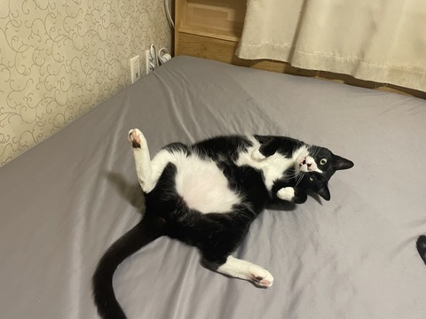 KakaoTalk_20240426_121206647_01