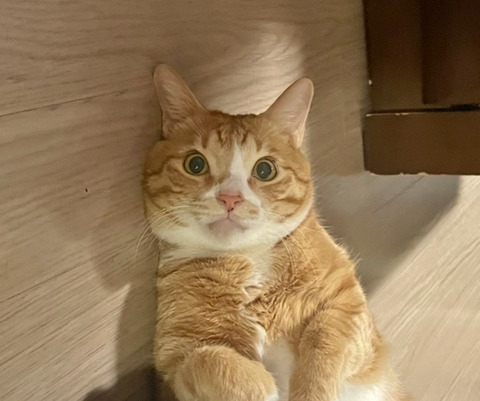 KakaoTalk_20250720_143210793_02