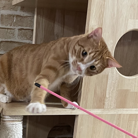 KakaoTalk_20220224_100330827_06