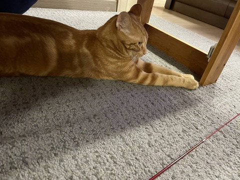 KakaoTalk_20210220_095421191