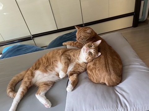 KakaoTalk_20230428_110858271_07