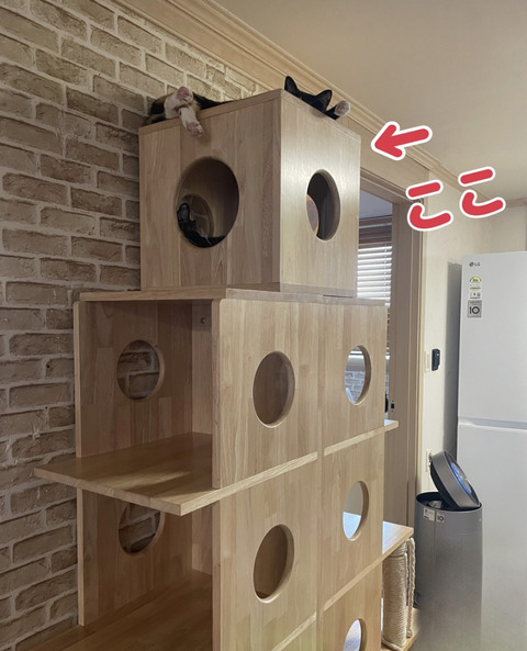 KakaoTalk_20240907_095121399