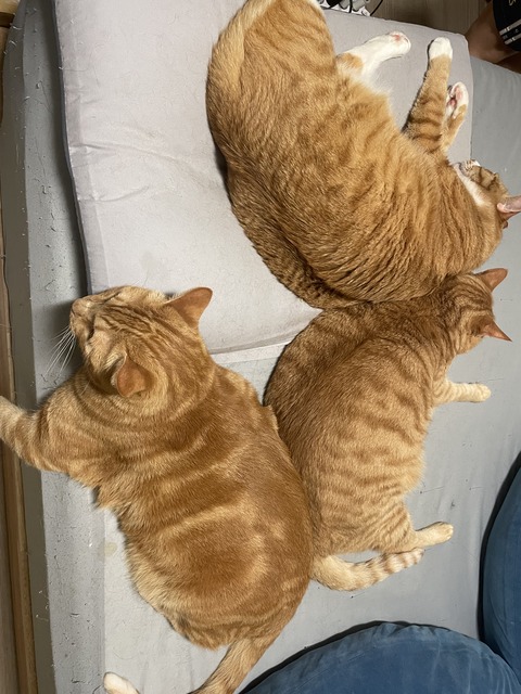 KakaoTalk_20250728_212208855_09