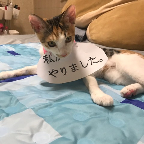 KakaoTalk_20200909_101038550