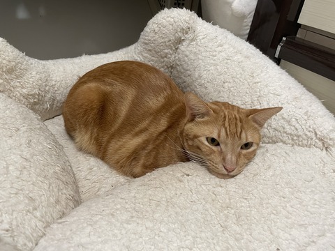 KakaoTalk_20231130_204908664